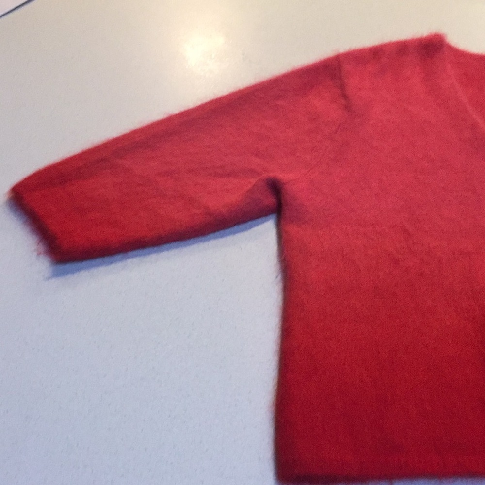 Rabbit Hair Red Top